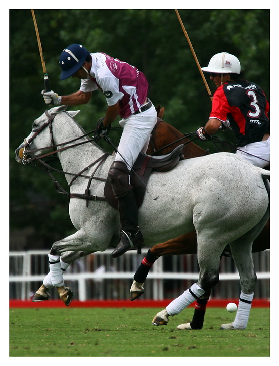 photos Open Palermo 4 day